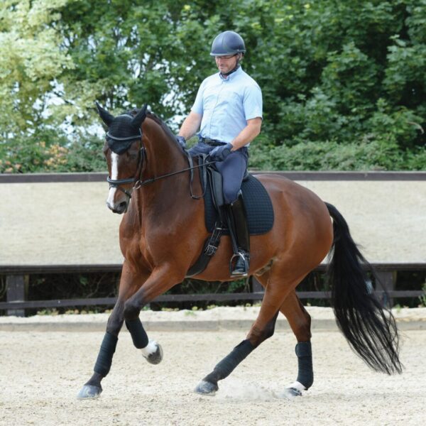 A man riding on the back of a brown horse.