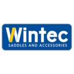 A blue and yellow logo for wintec