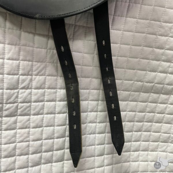 Passier Size 3/17.5" M Compact Dressage Saddle 2258 (with girth) - Image 8