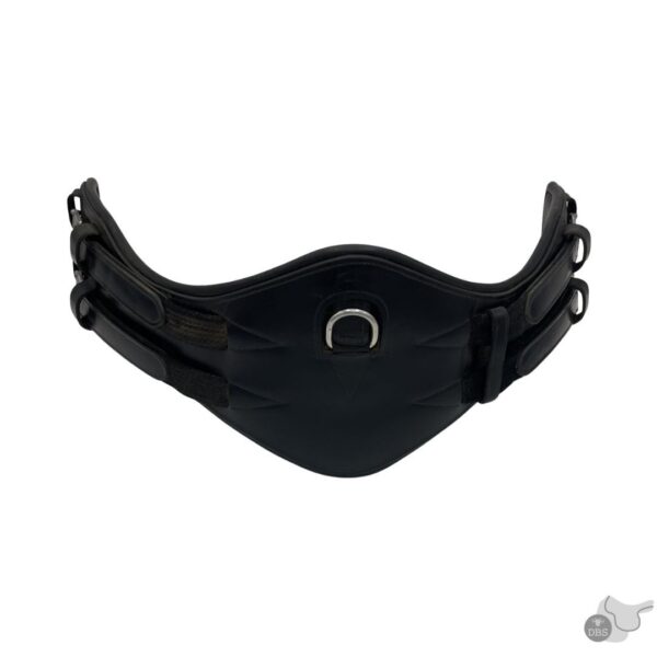 Passier Size 3/17.5" M Compact Dressage Saddle 2258 (with girth) - Image 15