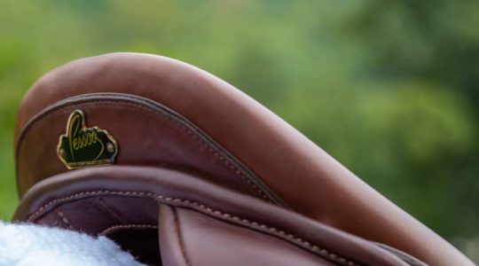 A close up of the saddle on a horse.