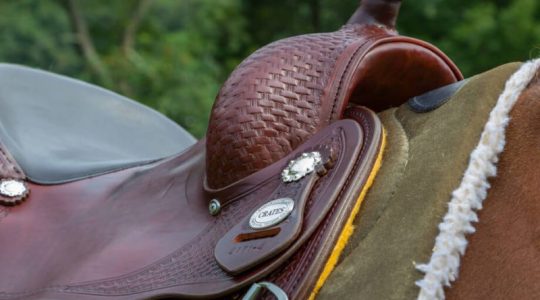 A close up of the saddle on a horse.